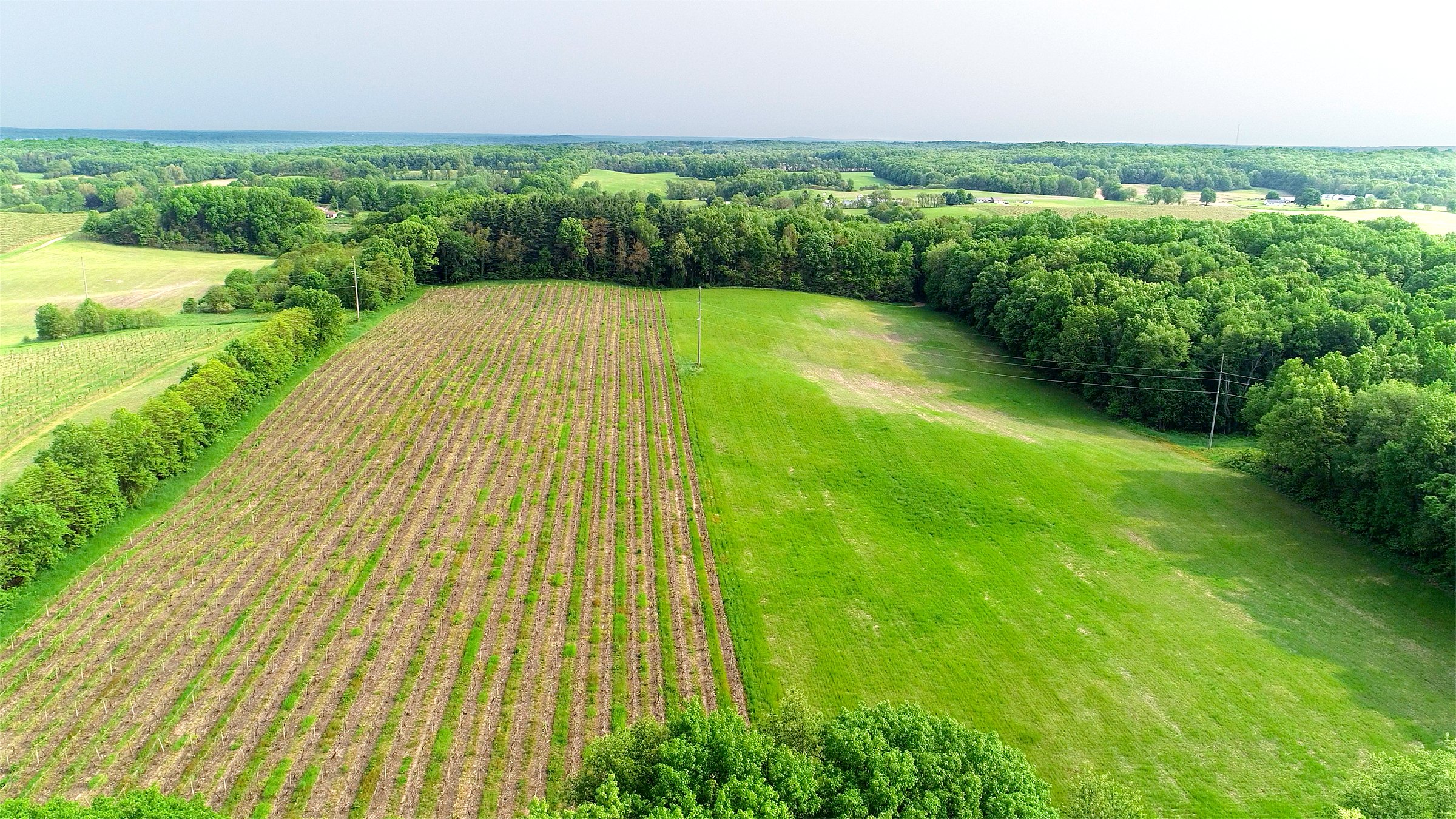 Van Buren County, Michigan farmland - LAND AUCTION - 194+/- ACRES OFFERED IN 5 TRACTS IN VAN BUREN COUNTY, MICHIGAN